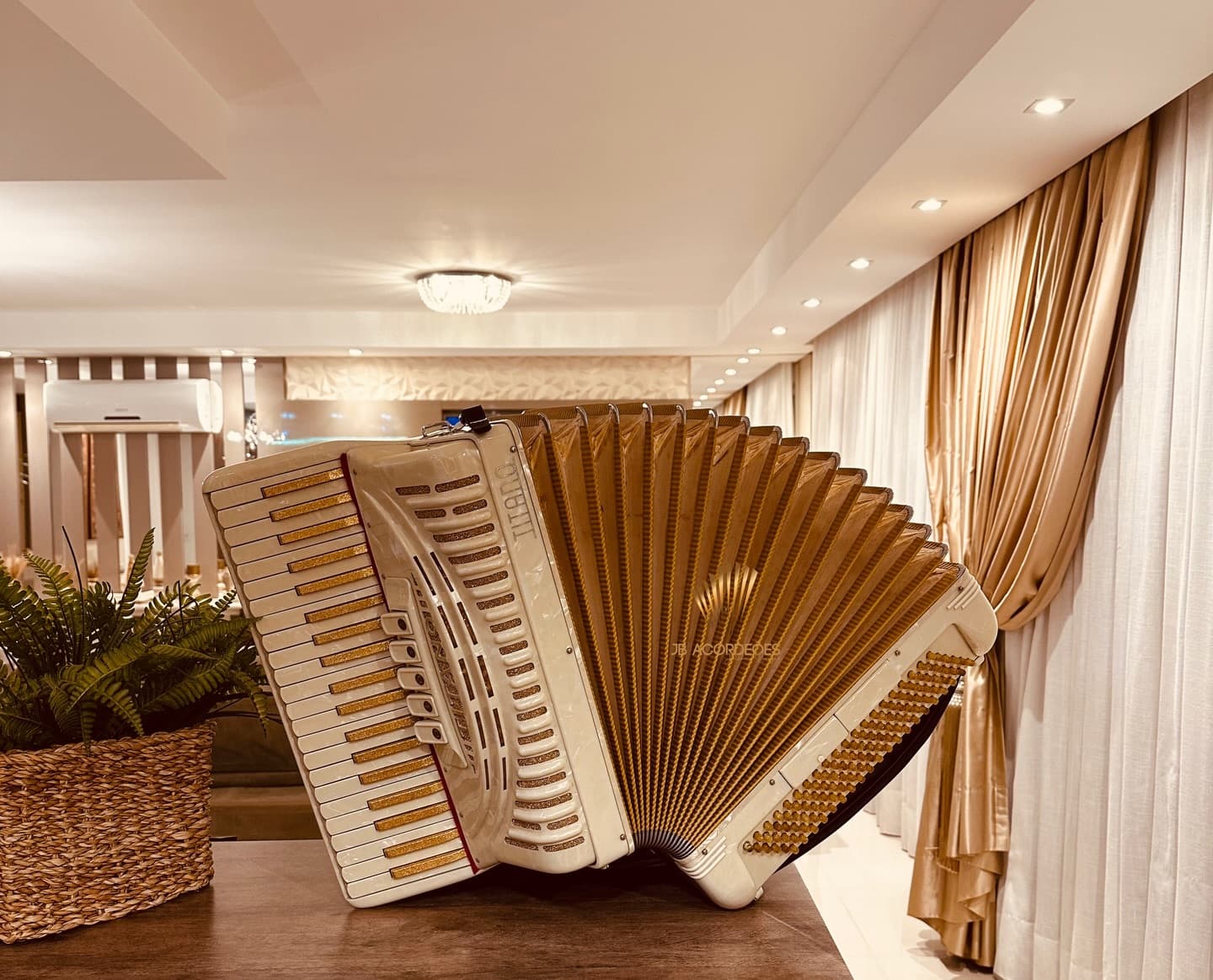 Acordeon JB