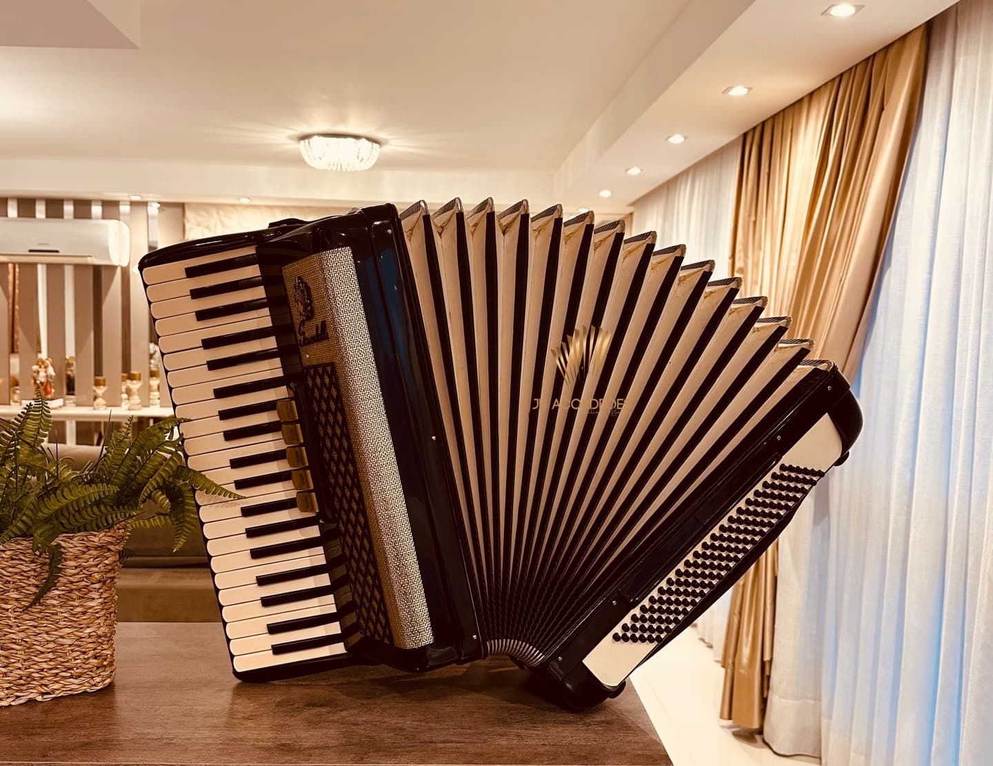Acordeon JB