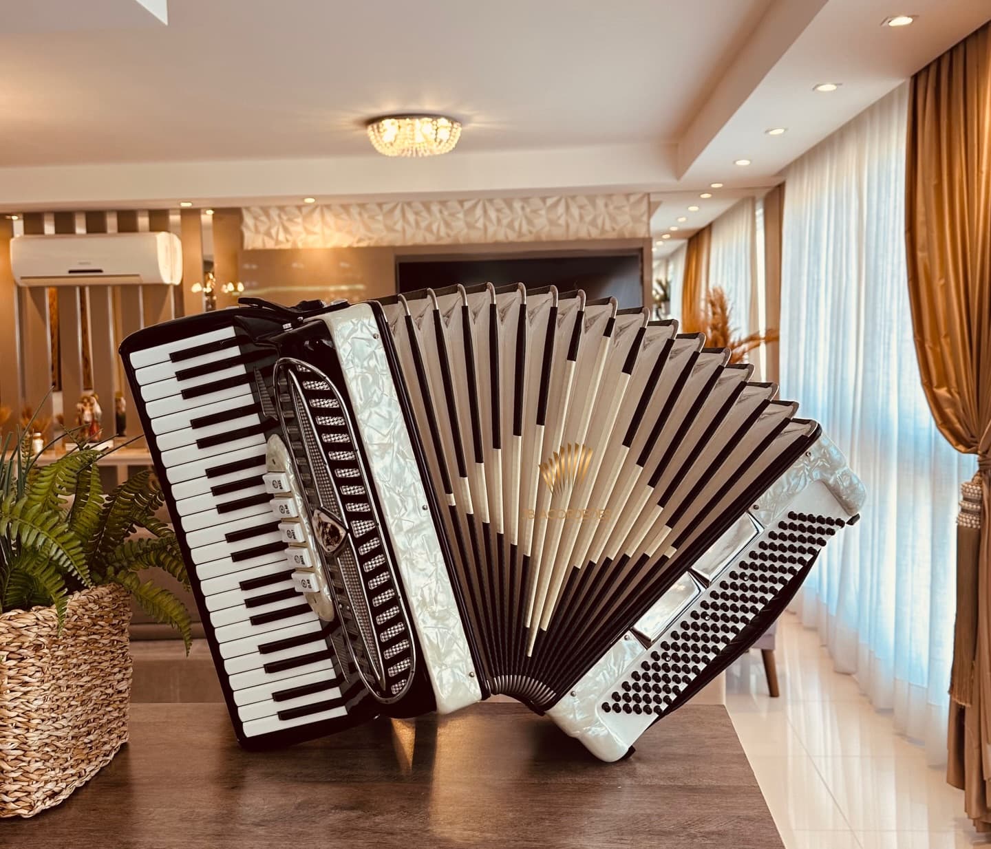 Acordeon JB